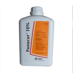 SAVANTO DISTRIBUCION