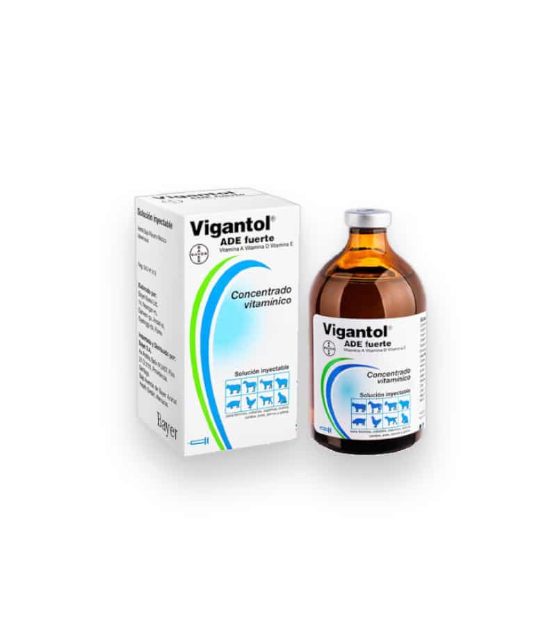 SAVANTO DISTRIBUCION